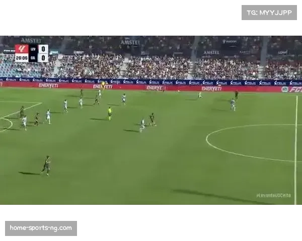 莱万特1比2遭塞尔塔绝杀 罗曼第90分钟禁区内制胜